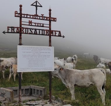 azienda-agricola-anna-castagnino-ormea